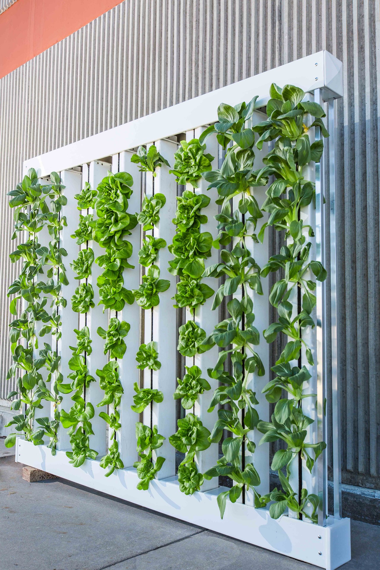 Lettuce Grow Farmstand: The Newest Technology that Isn’t Only Eco-Friendly but Also Effective